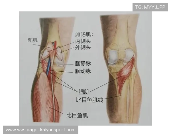 世界举重科研中心发布基层训练损伤预防指南